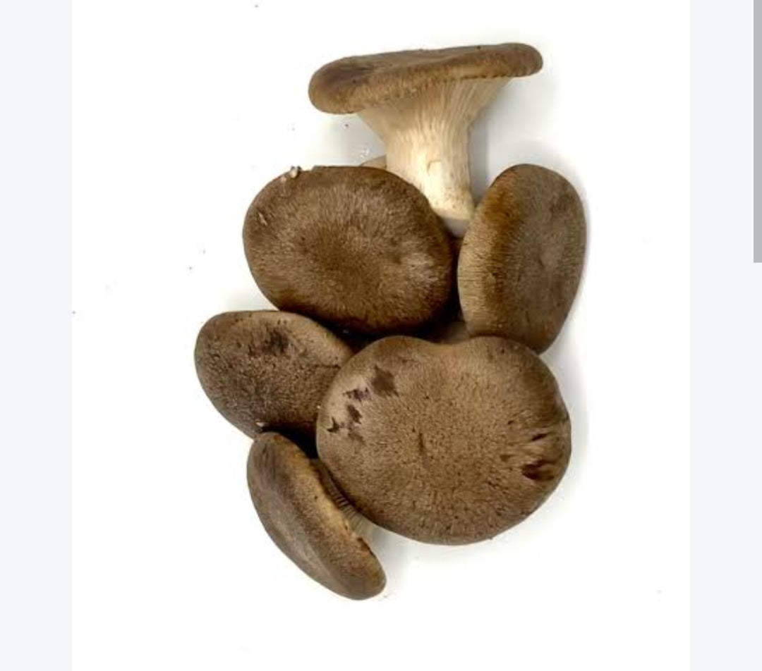 Funghi Cardoncelli