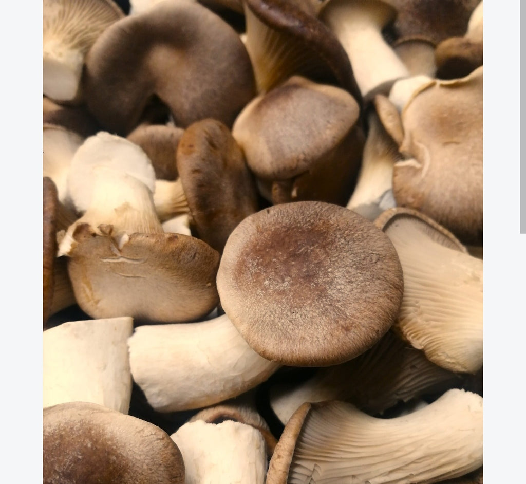 Funghi Cardoncelli