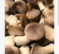 Funghi Cardoncelli